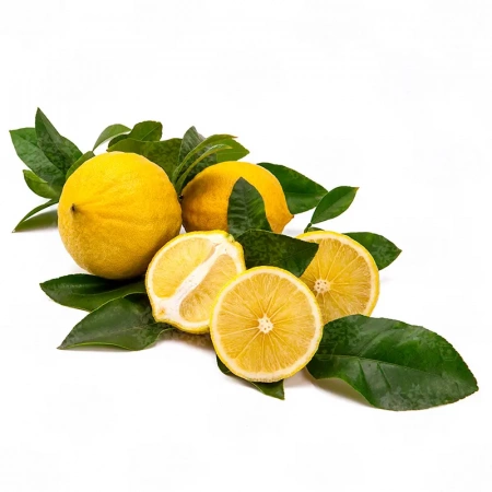 Бергамот Бергамотто / Bergamot Bergamotto — цитрусовое растение, детальное фото
